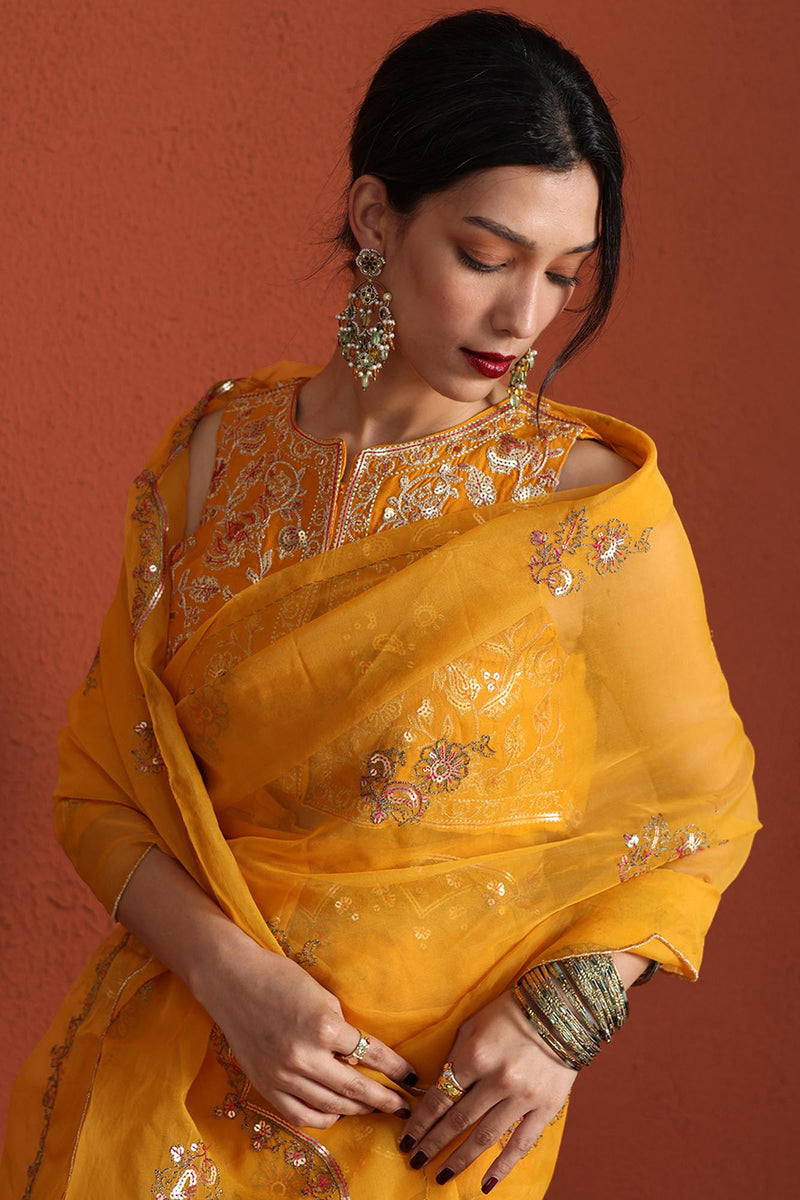 Khaas Sequin Saree