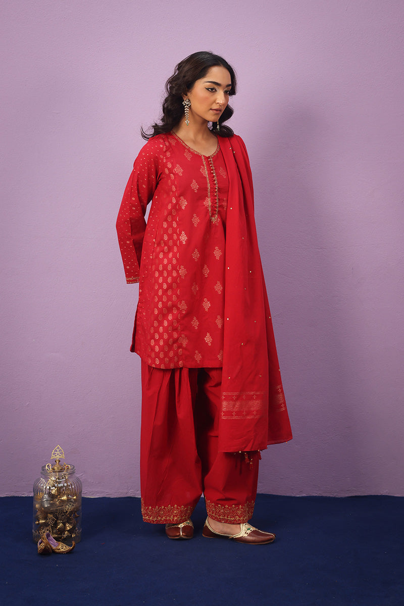 Raat ki Rani Zerwesh Suit