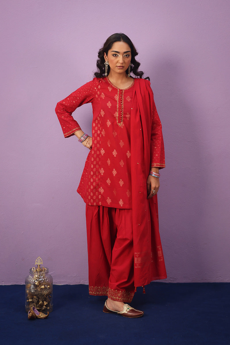 Raat ki Rani Zerwesh Suit