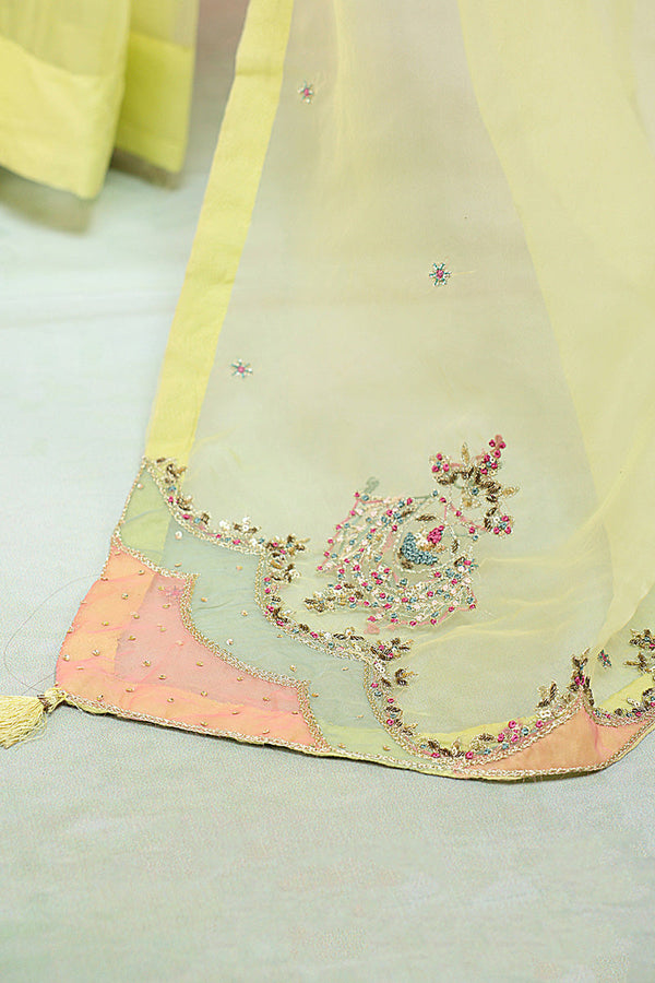 Mahrani Embroidered Nur Saree