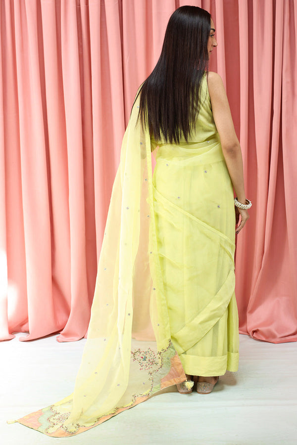 Mahrani Embroidered Nur Saree