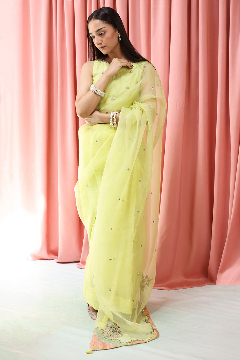 Mahrani Embroidered Nur Saree