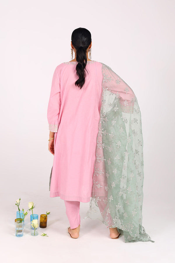 Sunehri Glitz Panni 3 Piece Suit