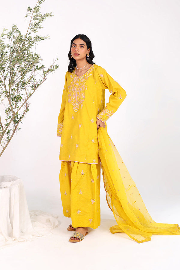 Glitz Panni Resham Rang 3 Piece