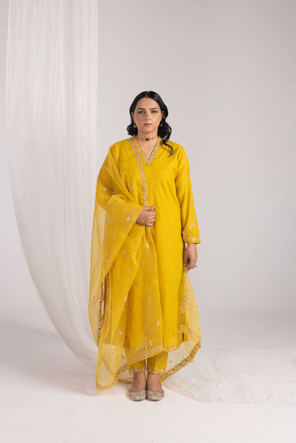 Opulent Glitz Panni Ensemble