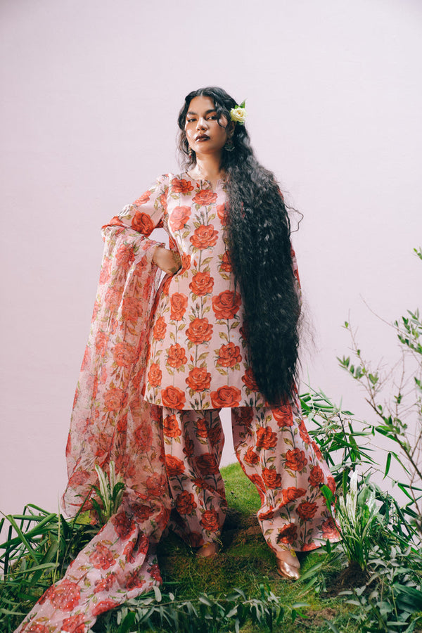 GUL BAHAR PHOOL RANG & DASTAAN SUIT