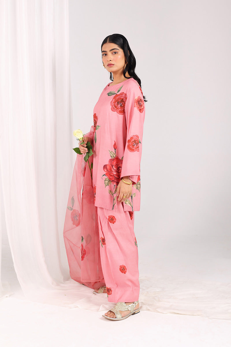 Bahar Phool Rang & Dastaan 3