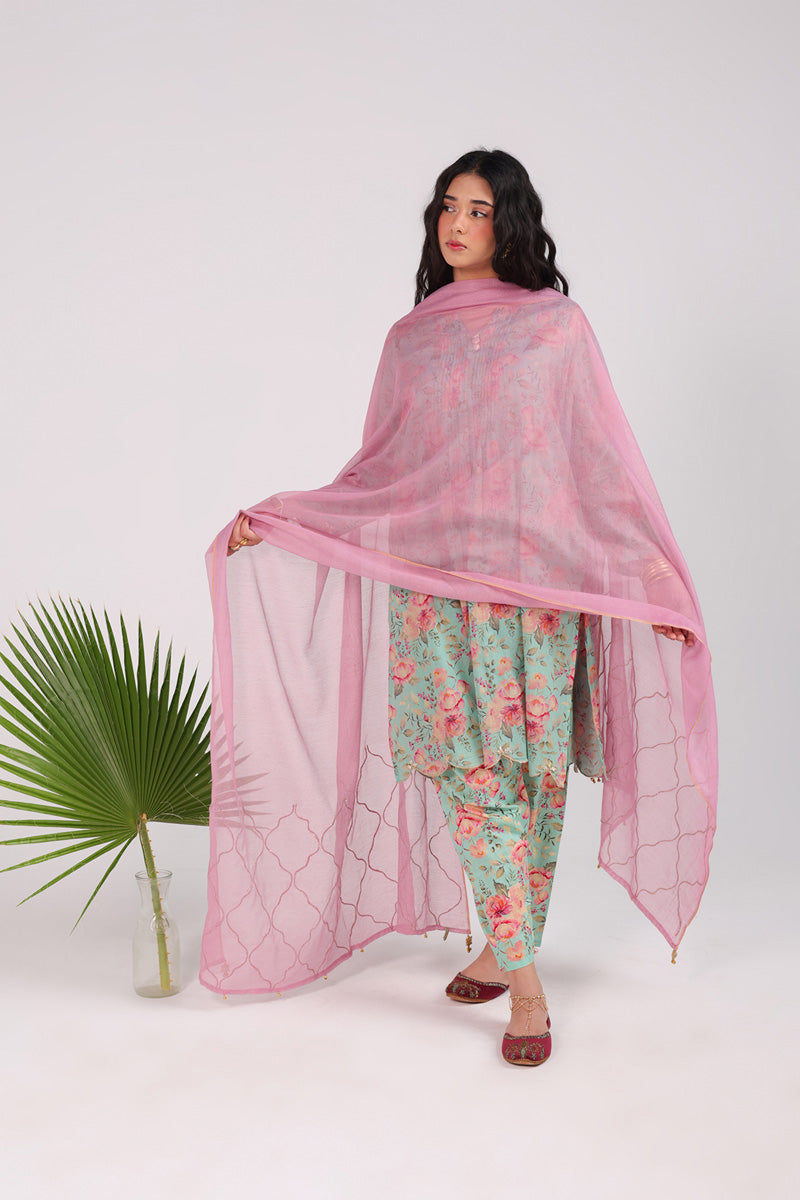 Dusky Gleam Dupatta