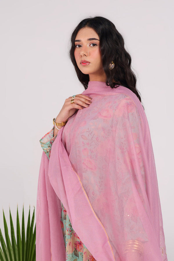 Dusky Gleam Dupatta