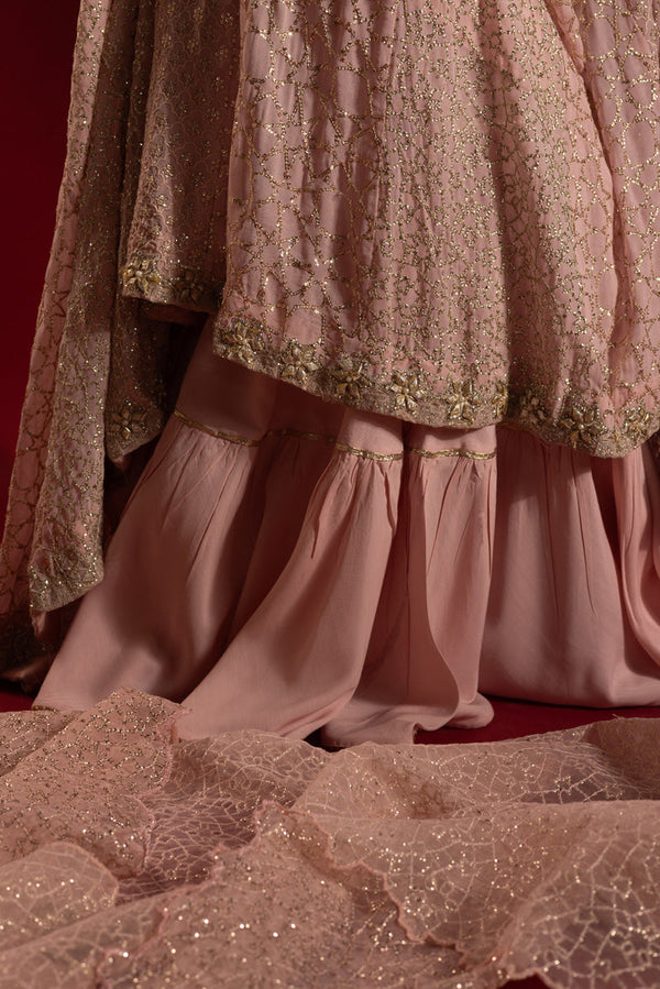 Raqs-e-Nur Anarkali Ensemble