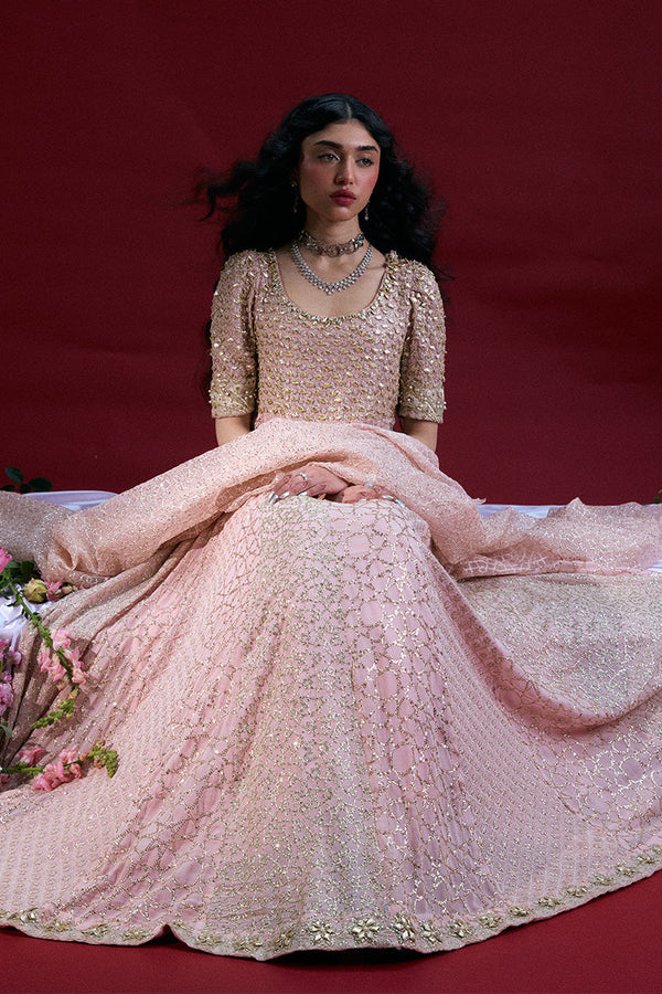 Raqs-e-Nur Anarkali Ensemble