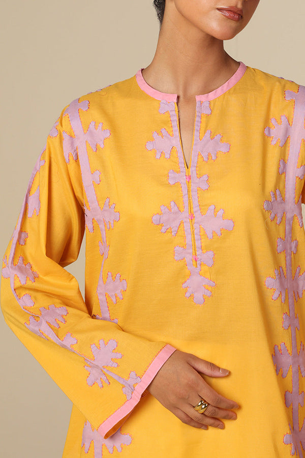 Stitched Symphony Appliqued Set