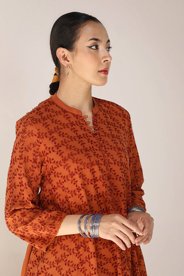 Spring Fling Schiffli Frock