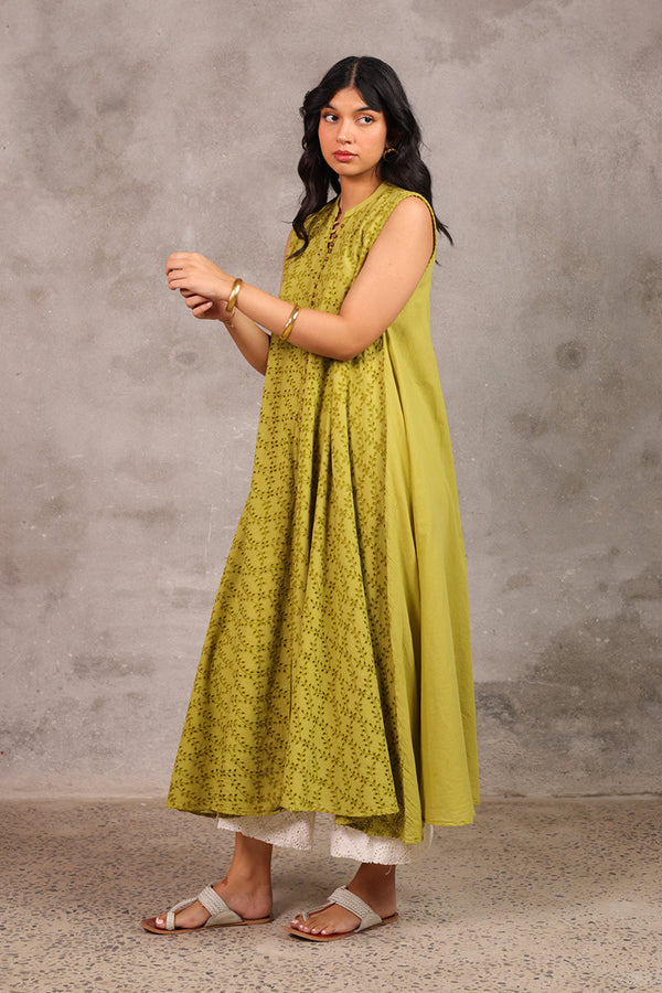 Spring Fling Schiffli Dress