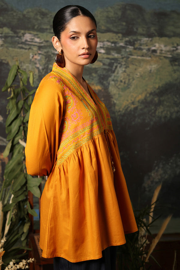 Color Waves Embroidered Top