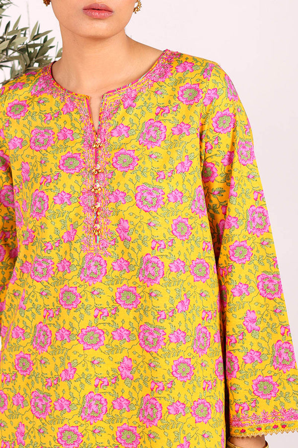 Phool Patti Kachnaar Ensemble