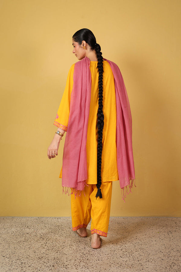 Kachnaar Signature Ensemble