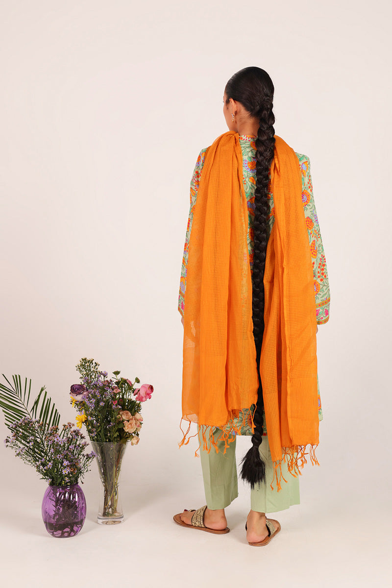 Drape Dupatta