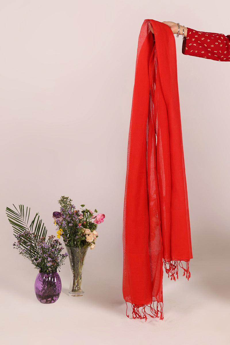 Drape Dupatta
