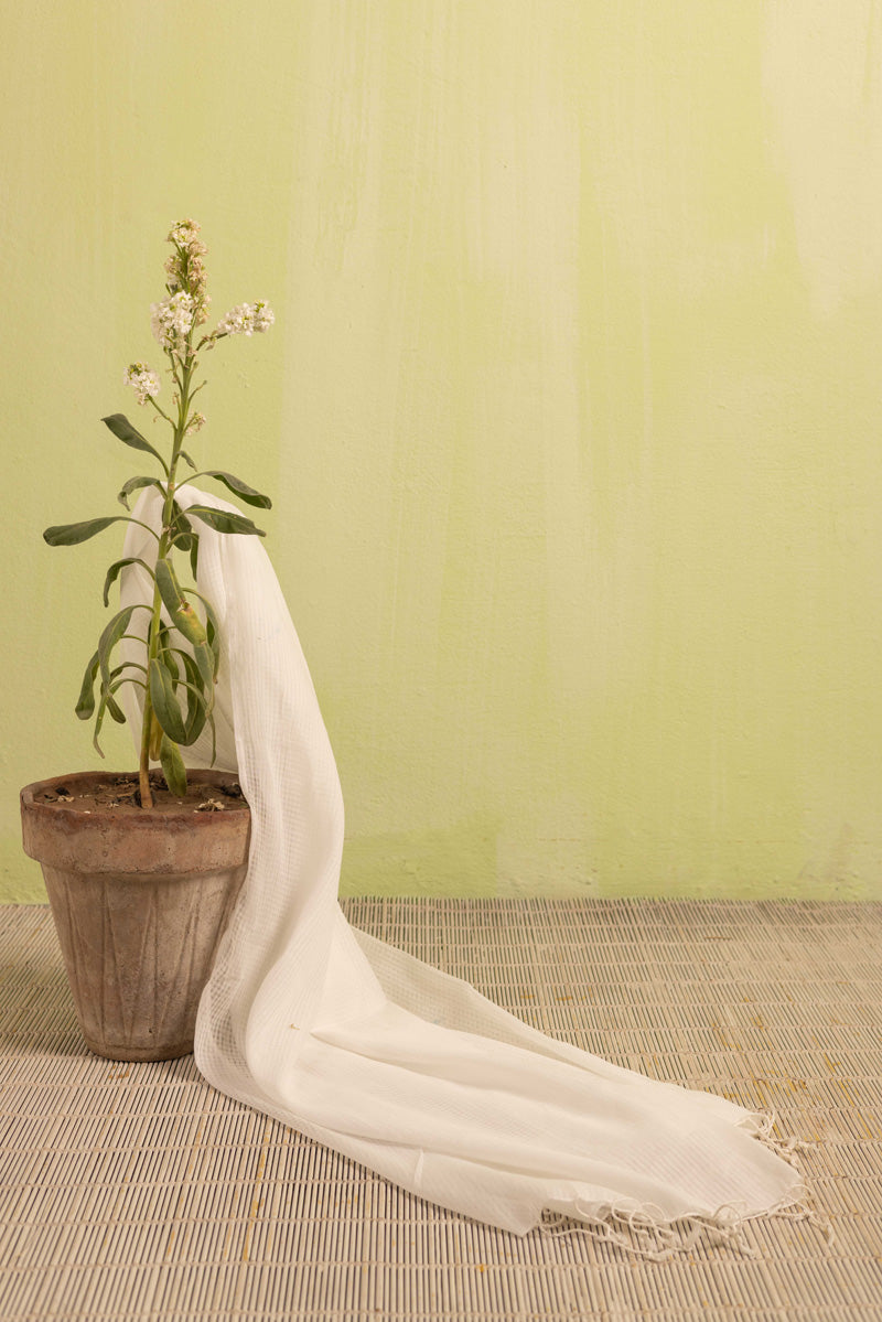 100% Pure Cotton Dupatta