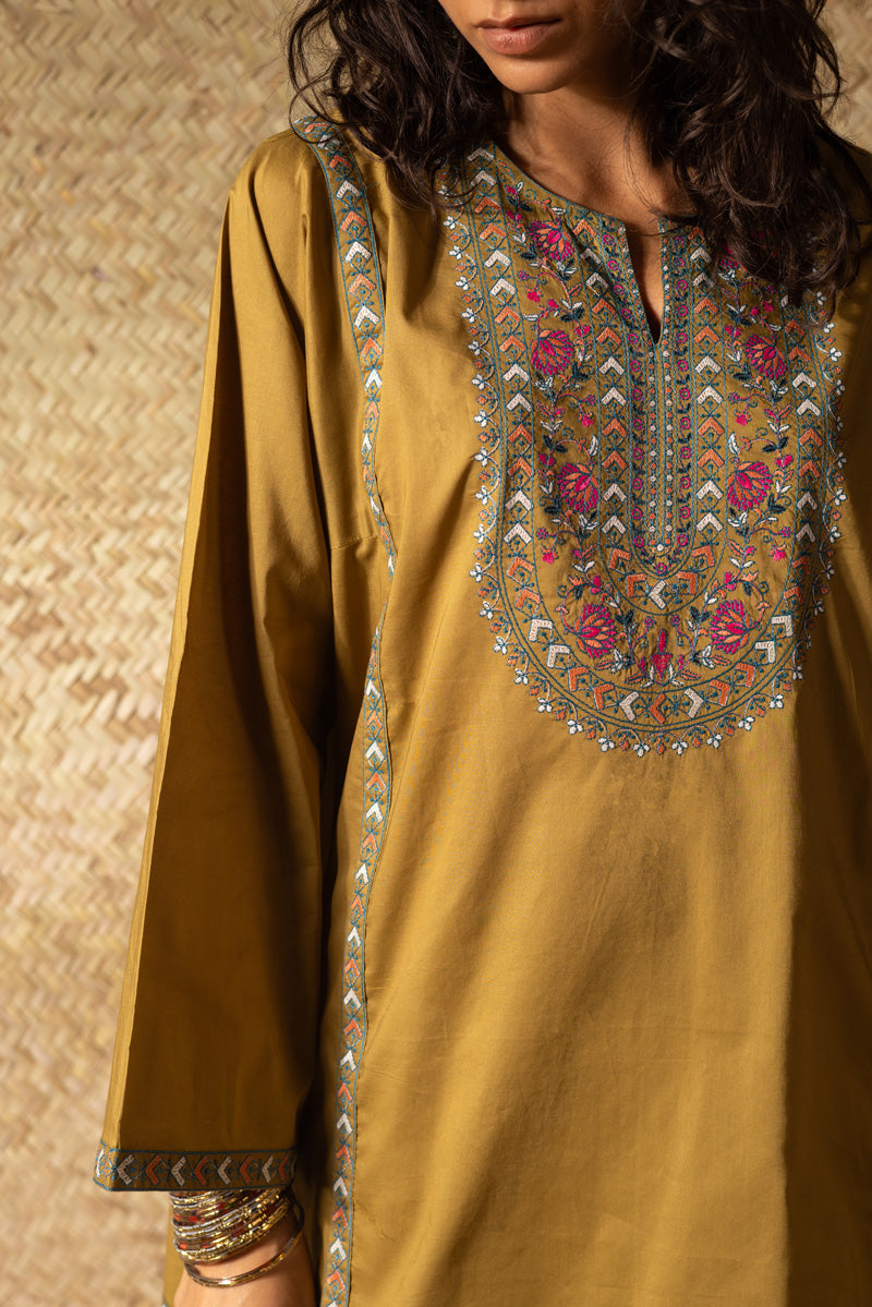 Rang Edit Kurti