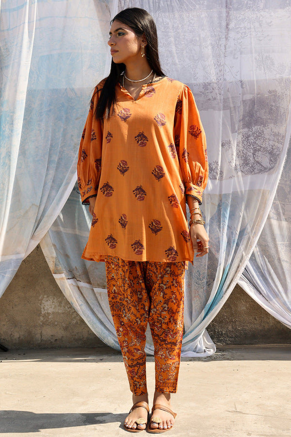 Garden Bloom Tulip Set