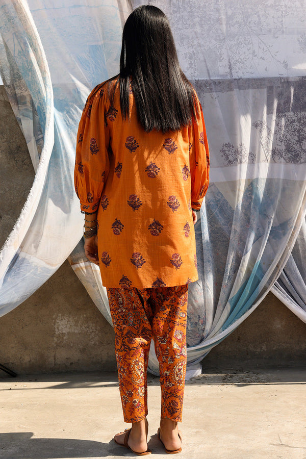 Garden Bloom Tulip Set