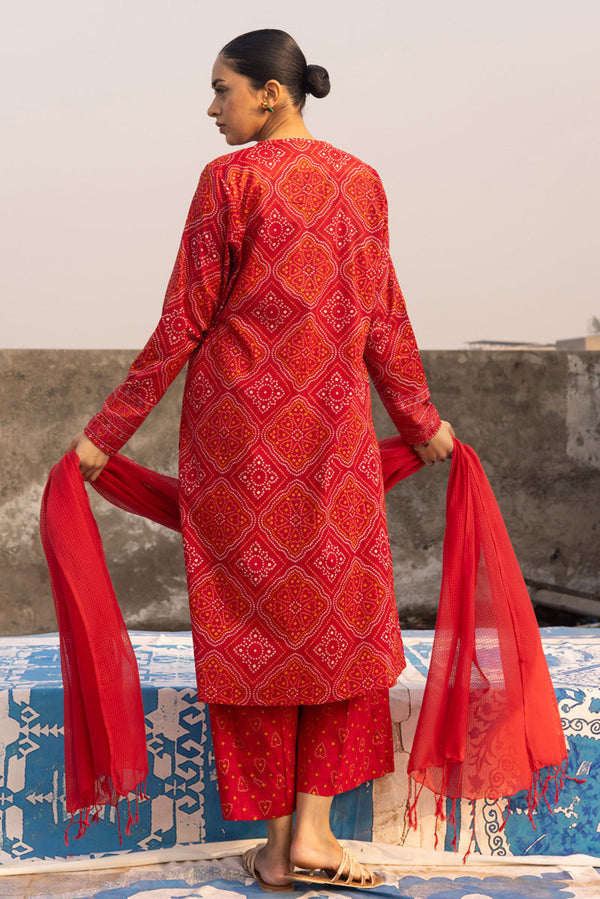 Chunari Hearts Printed Set