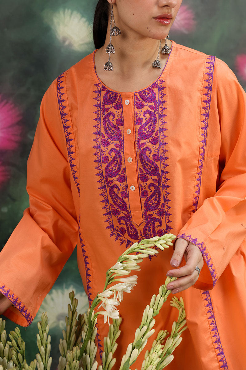 Azure Embroidered Kurti