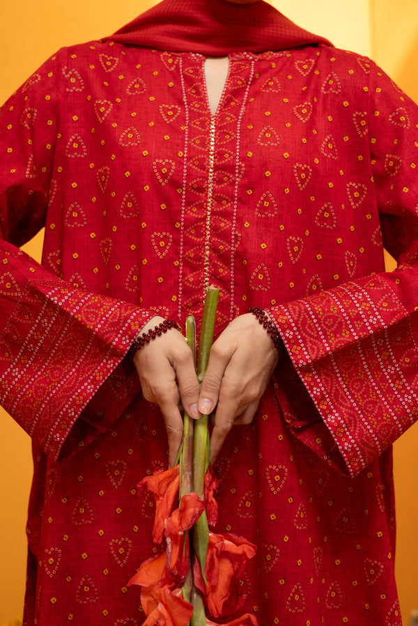 Mukaish Beats Printed Set