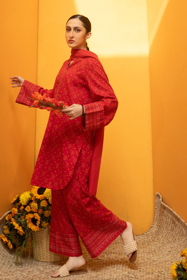 Mukaish Beats Printed Set