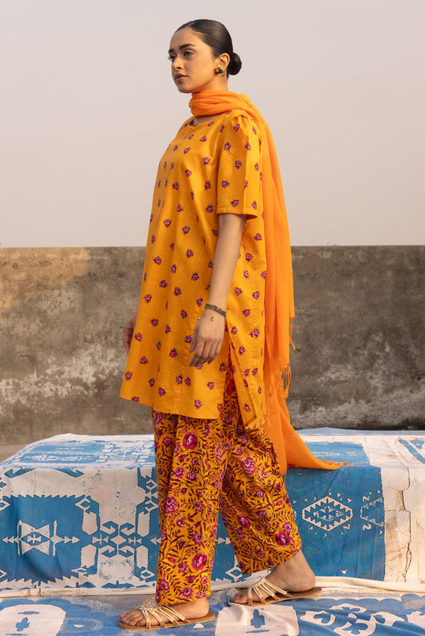 Petite Bloom Series Set