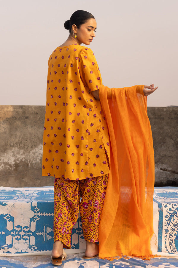 Petite Bloom Series Set