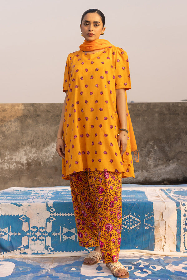 Petite Bloom Series Set