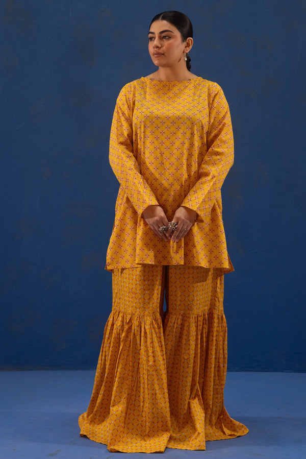 Stitch Theory Gharara Set