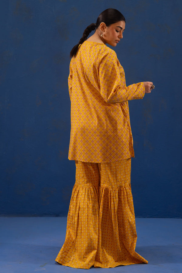 Stitch Theory Gharara Set