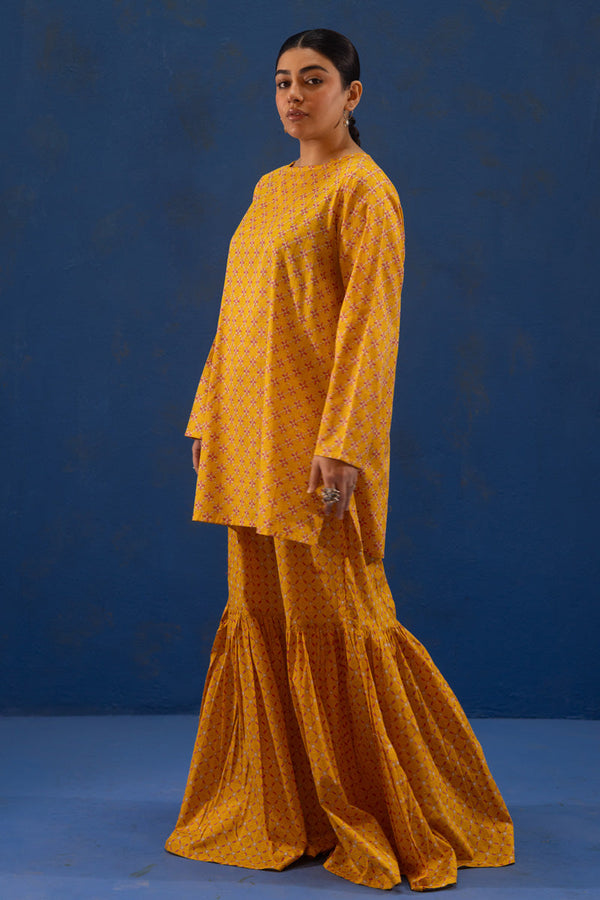 Stitch Theory Gharara Set