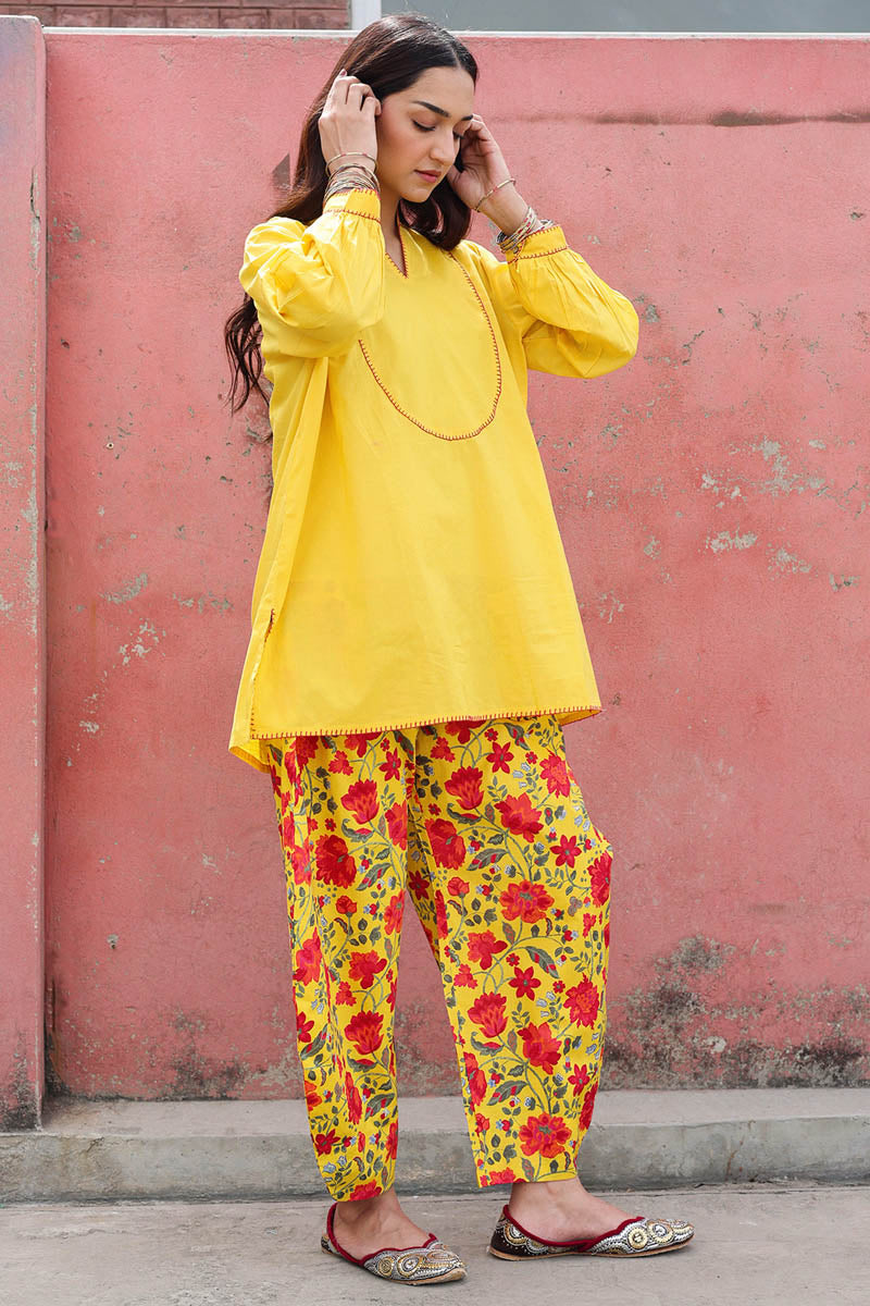 Chinar Fusion Set