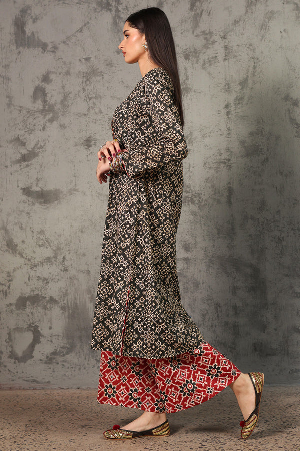 Rang Patola Printed Set