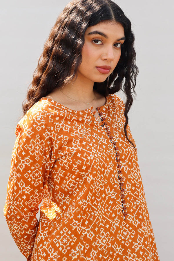 Rang Patola Printed Set