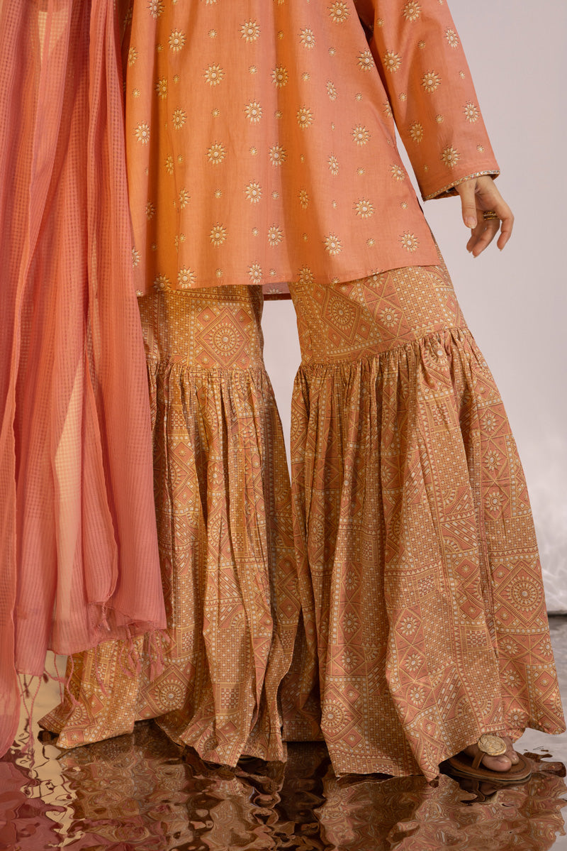 Soft Mandana Gharara Set