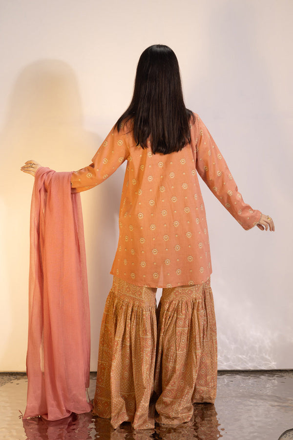 Soft Mandana Gharara Set