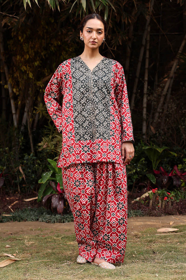 Rang Patola Farshi Set