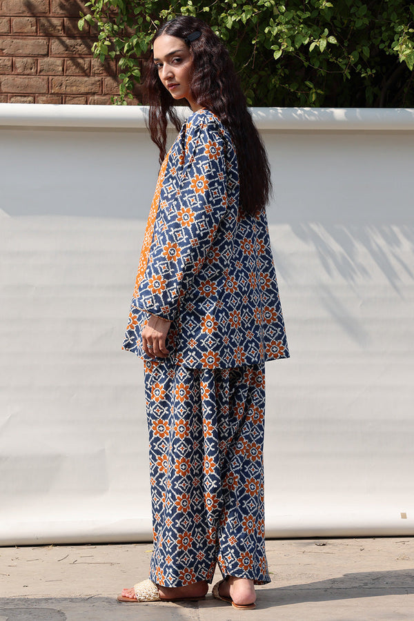 Rang Patola Farshi Set