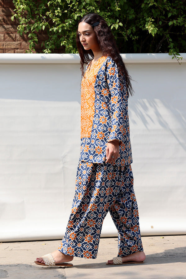 Rang Patola Farshi Set