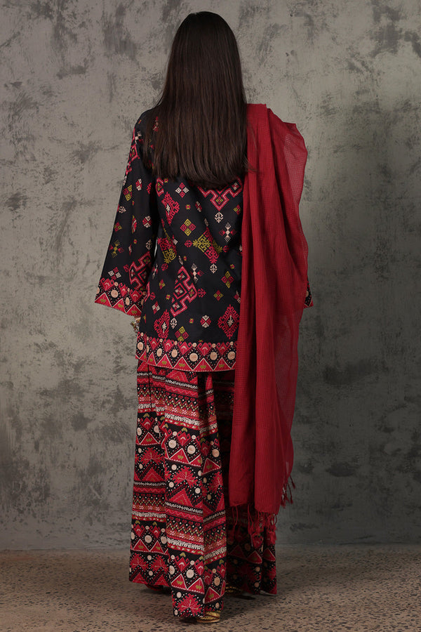 Printed Phulkari Skirt Set