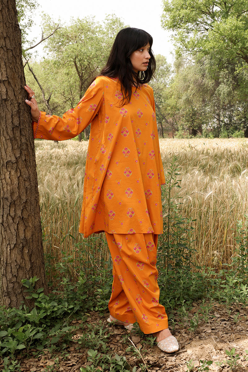 marigold