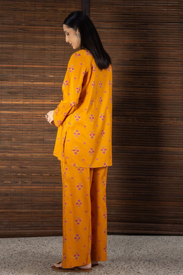 Meenakari Printed Set