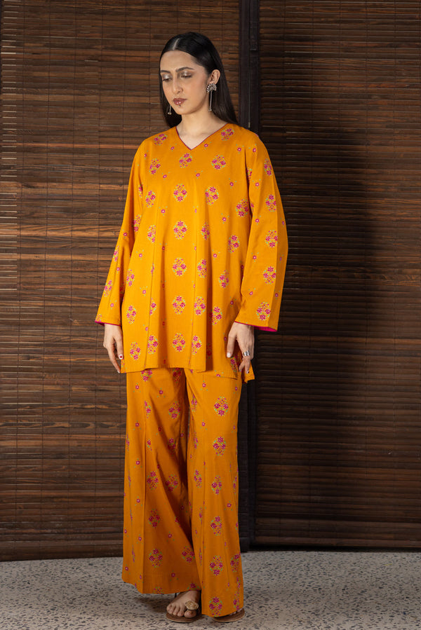 Meenakari Printed Set