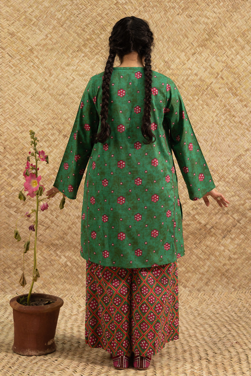 Sheehsakari Printed Set